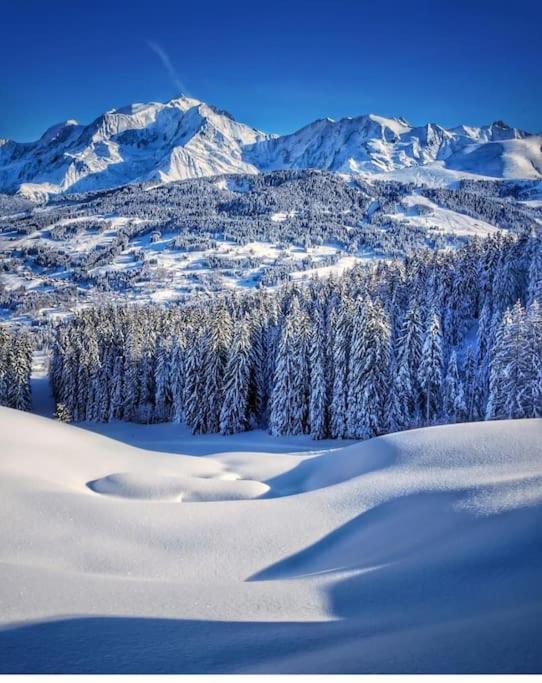 Logement A Megeve Avec Jardin Exterior foto